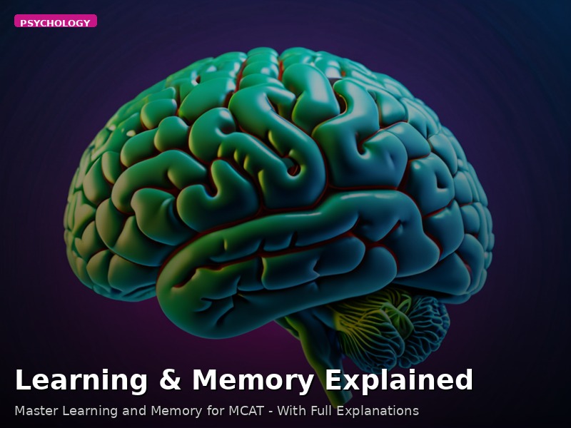 Learning & Memory Explained
