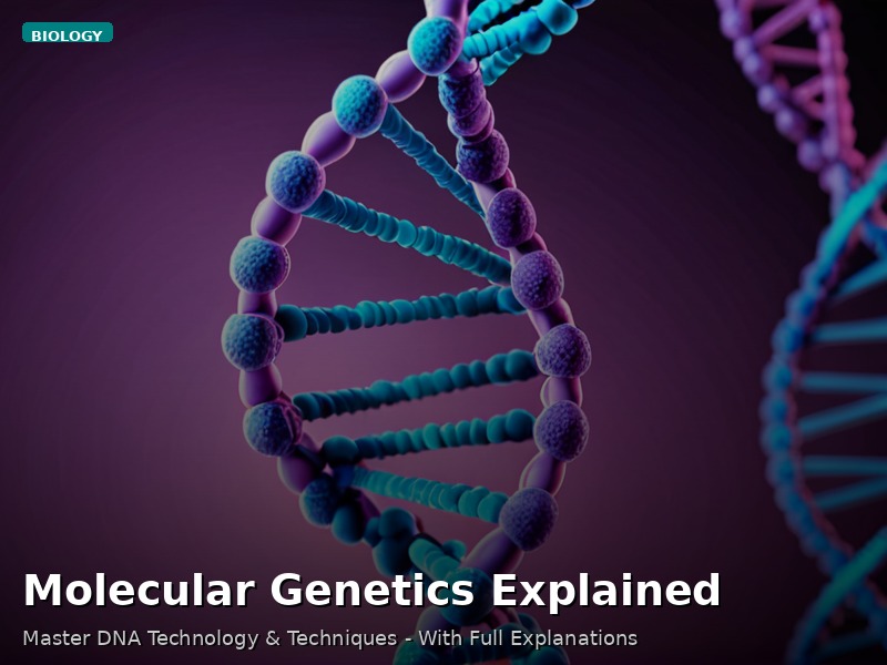 Molecular Genetics Explained